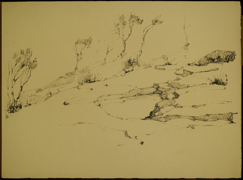 1927 ca. - Paesaggio a Procida con alberi e rocce